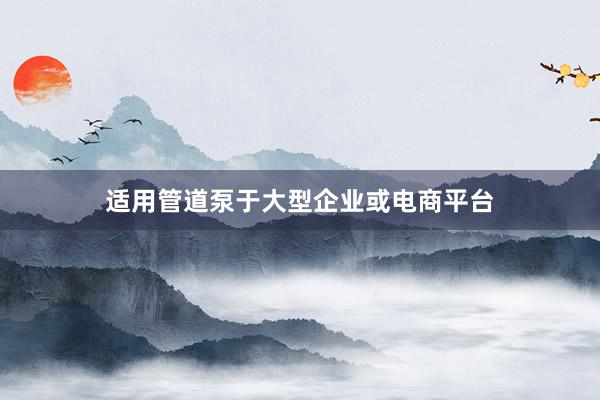 适用管道泵于大型企业或电商平台
